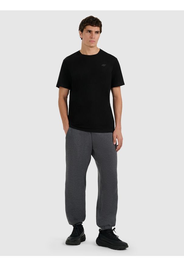 4f - 4F Spodnie dresowe joggery męskie - szare L. Kolor: szary. Materiał: dresówka