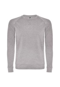 ROLY - Męska Bluza Annapurna Heather. Kolor: szary. Styl: sportowy #1