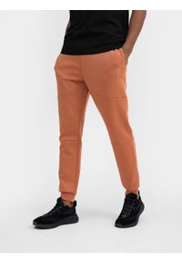 4f - Spodnie dresowe joggery męskie. Kolor: brązowy. Materiał: dresówka