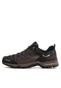 Salewa Trekkingi Ms Mrn Trainer Lite Gtx GORE-TEX 61361-7512 Brązowy. Kolor: brązowy. Materiał: materiał. Technologia: Gore-Tex. Sport: turystyka piesza #5