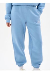 Sinsay - Spodnie dresowe jogger - niebieski. Kolor: niebieski. Materiał: dresówka