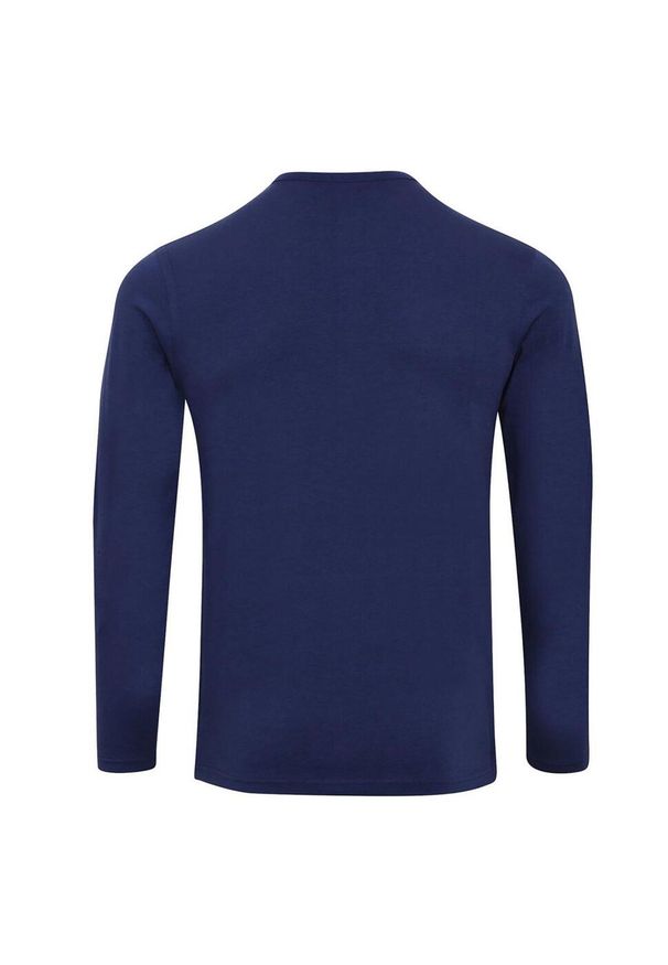 PREMIER - Męska Koszulka Z Podwiniętymi Rękawami Long John. Kolor: niebieski. Sport: turystyka piesza