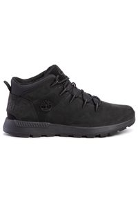 Sneakersy Timberland. Kolor: czarny. Sport: bieganie