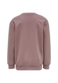 Bluza dziecięca Hummel hmlDUO. Kolor: fioletowy
