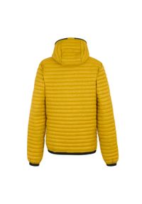 Regatta - Męska Ocieplana Kurtka Rigain. Kolor: żółty. Materiał: puch. Sport: turystyka piesza #2