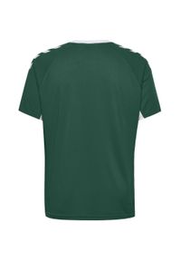 Koszulka sportowa z krótkim rękawem dla dzieci Hummel Core Kids Team Jersey S/S. Kolor: biały, wielokolorowy, zielony. Materiał: jersey. Długość rękawa: krótki rękaw. Długość: krótkie