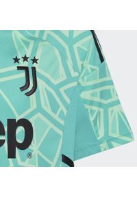 Adidas - Juventus 22/23 Goalkeeper Jersey. Kolor: zielony. Materiał: jersey