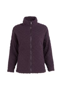 Regatta - Bluza Polarowa Damska Pełen Suwak Apphia. Kolor: fioletowy. Materiał: polar. Sezon: zima. Styl: sportowy. Sport: turystyka piesza #1