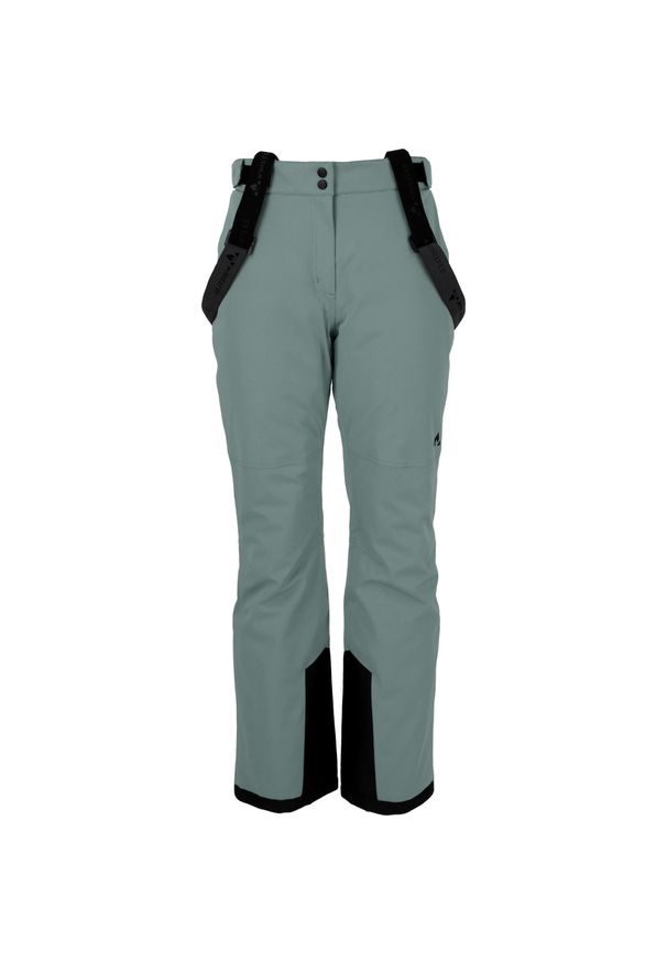 Spodnie narciarskie dla kobiet Whistler Yarra W-Pro 15000. Kolor: zielony. Sezon: zima. Sport: narciarstwo