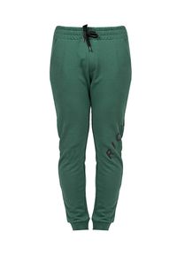 John Richmond - Richmond Sport Spodnie | UMA22002PA | Mężczyzna | Zielony. Okazja: na co dzień. Kolor: zielony. Materiał: poliester, bawełna. Wzór: aplikacja, nadruk. Styl: sportowy #6