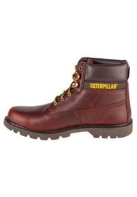 CATerpillar - Męskie Skórzane Buty Sportowe Colorado 2.0. Kolor: brązowy. Materiał: skóra. Sport: turystyka piesza