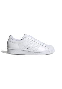 Adidas - Buty adidas Originals Superstar EF5399 - białe. Kolor: biały. Materiał: skóra, guma. Szerokość cholewki: normalna. Sezon: lato. Model: Adidas Superstar #1