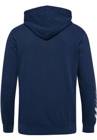 Bluza z kapturem Hummel Elemental. Typ kołnierza: kaptur. Kolor: wielokolorowy, niebieski, zielony. Sport: piłka ręczna #2