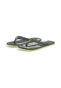 Klapki Puma Epic Flip V2 unisex. Kolor: szary, zielony, wielokolorowy. Materiał: materiał. Styl: sportowy