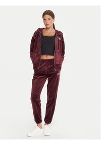 DKNY Sport Bluza DP5J9634 Bordowy Regular Fit. Kolor: czerwony. Materiał: syntetyk. Styl: sportowy