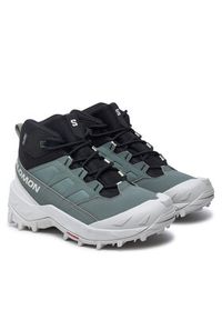 salomon - Salomon Trekkingi Crosstrak Waterproof L47570400 Zielony. Kolor: zielony. Materiał: materiał #7