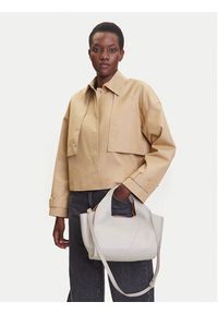 Gianni Chiarini Torebka Euforia BS 9554 RNGDBL Szary. Kolor: szary. Materiał: skórzane