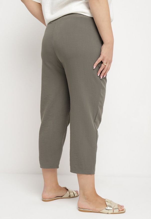 Born2be - Ciemnobeżowe Spodnie o Klasycznym Kroju z Metalową Wstawką i Cyrkoniami Oleessa. Kolor: beżowy. Materiał: tkanina, bawełna. Sezon: lato. Styl: klasyczny