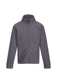 Regatta - Bluza Polarowa Męska Thor 300. Kolor: szary. Materiał: polar. Sezon: zima. Styl: sportowy. Sport: turystyka piesza #1