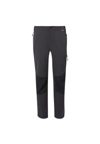 Regatta - Męskie Spodnie Turystyczne Questra V. Kolor: szary, czarny, fioletowy, wielokolorowy. Sezon: lato. Sport: turystyka piesza #1