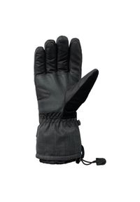 Rękawice narciarskie Elbrus Rihhar. Kolor: szary, wielokolorowy, czarny. Sezon: zima. Sport: narciarstwo #1