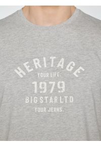 Big-Star - Koszulka męska z nadrukiem szara Serter 901. Okazja: na co dzień. Kolor: szary. Materiał: materiał, bawełna, denim, dzianina, skóra. Długość rękawa: krótki rękaw. Długość: krótkie. Wzór: nadruk. Styl: klasyczny, casual #2