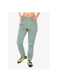 Spodnie wspinaczkowe damskie Black Diamond Notion Pants. Kolor: zielony. Sport: wspinaczka