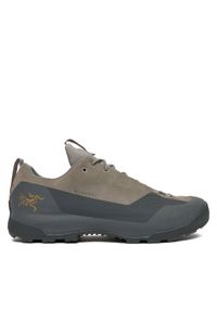 Trekkingi Arc'teryx. Kolor: szary