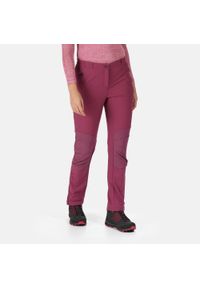 Questra IV Regatta damskie trekkingowe spodnie. Kolor: fioletowy. Sport: turystyka piesza #1