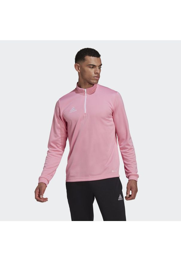 Bluza piłkarska męska Adidas Entrada 22 Training Top. Kolor: różowy. Sport: piłka nożna