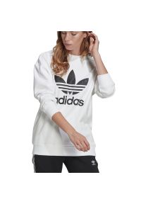 Adidas - adidas Trefoil Crew > GN2961. Okazja: na co dzień. Materiał: materiał, bawełna. Styl: casual, elegancki