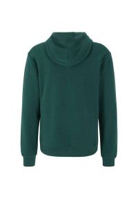Fila - Męska Bluza Bengel. Kolor: zielony