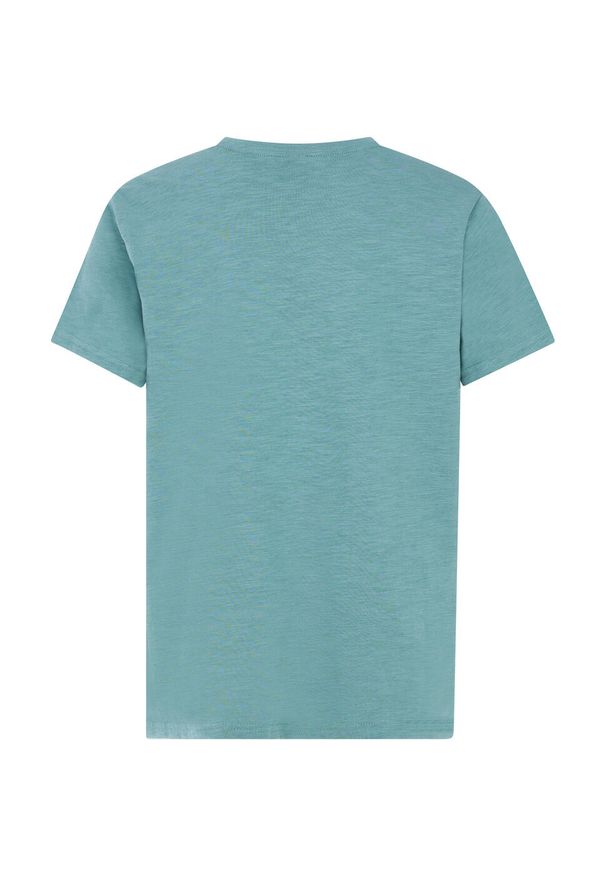 Protest - T-Shirt chłopięcy junior PROTEST PRTPeter. Kolor: wielokolorowy, niebieski, zielony. Sport: turystyka piesza