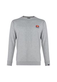 Bluza sportowa męska Ellesse. Kolor: szary