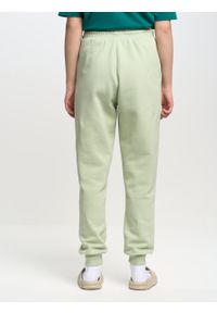 Big-Star - Spodnie dresowe damskie zielone Foxie 301. Kolor: zielony. Materiał: dresówka. Wzór: aplikacja, haft #3