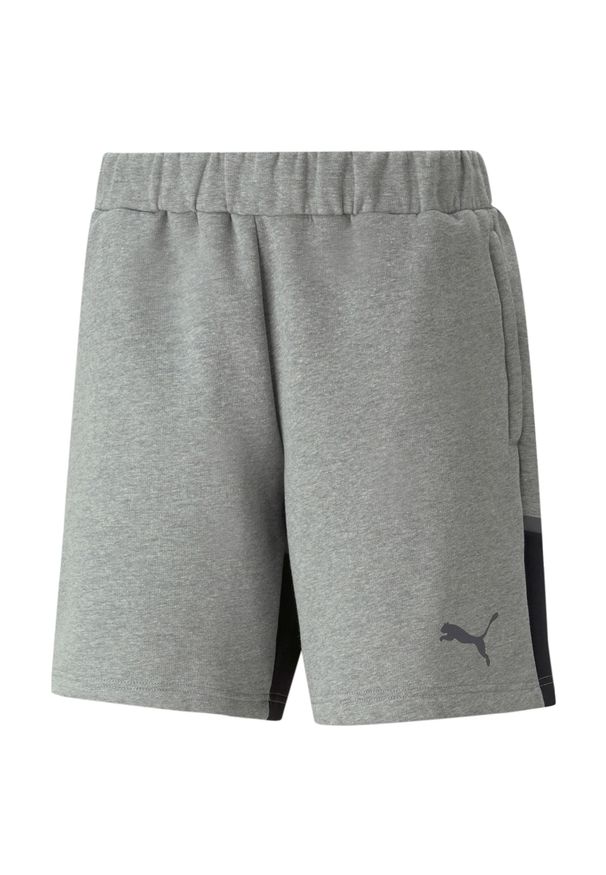 Puma Teamcup szorty szare 2XL. Kolor: czarny, szary, wielokolorowy. Sport: piłka nożna