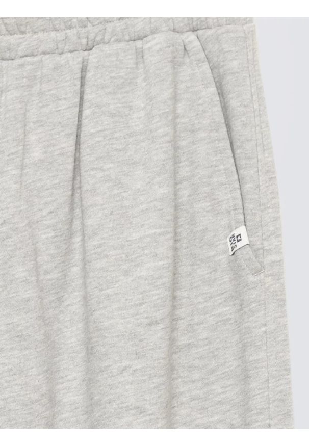 Big-Star - Spodnie chłopięce dresowe szare Polis 901. Okazja: na co dzień, na uczelnię. Kolor: szary. Materiał: dresówka. Wzór: aplikacja. Styl: casual, sportowy