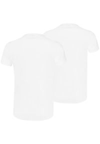Koszulka męska Puma Basic 2p Crew Tee. Kolor: biały. Sport: bieganie