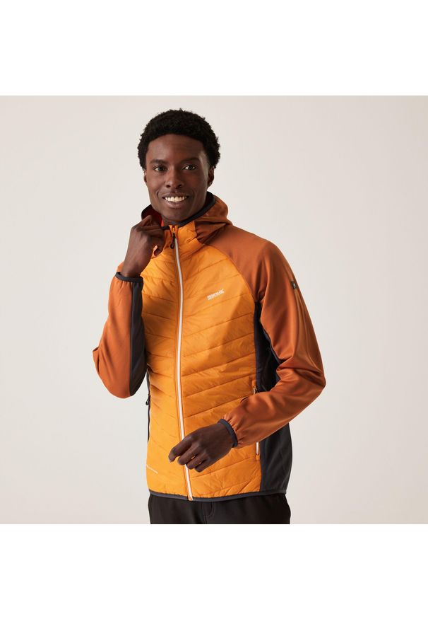 Regatta - Kurtka turystyczna hybrydowa męska Andreson VIII. Kolor: pomarańczowy, wielokolorowy. Materiał: poliamid. Sport: turystyka piesza