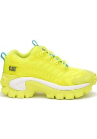 CATerpillar - Buty Sneakersy Męskie Caterpillar Cat Intruder Ignite. Kolor: zielony