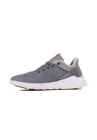 Buty do chodzenia damskie Reebok Ever Road Dmx 20 L. Zapięcie: sznurówki. Kolor: szary. Materiał: materiał, syntetyk. Szerokość cholewki: normalna. Sport: turystyka piesza