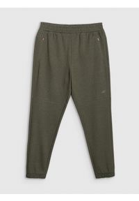 4f - 4F Spodnie dresowe joggery męskie - khaki XXL. Kolor: oliwkowy, wielokolorowy, brązowy. Materiał: dresówka. Wzór: gładki