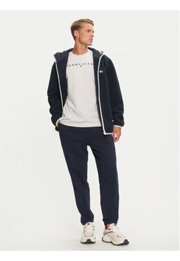 Tommy Jeans T-Shirt Linear Logo DM0DM20744 Szary Regular Fit. Kolor: szary. Materiał: bawełna