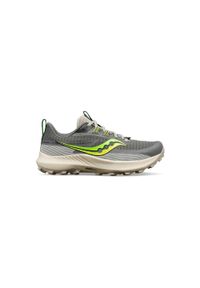 Buty trailowe damskie Saucony Peregrine 13. Kolor: szary