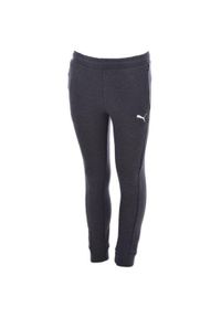 Dziecięce spodnie treningowe Puma - Komfort i styl. Kolor: szary. Materiał: dresówka, bawełna #1