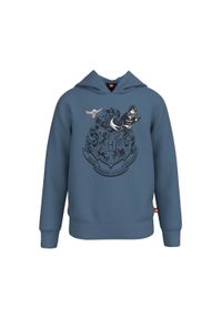 Bluza Bawełniana z kapturem LEGO Harry Potter dla dzieci STORM 105. Typ kołnierza: kaptur. Kolor: niebieski. Materiał: bawełna