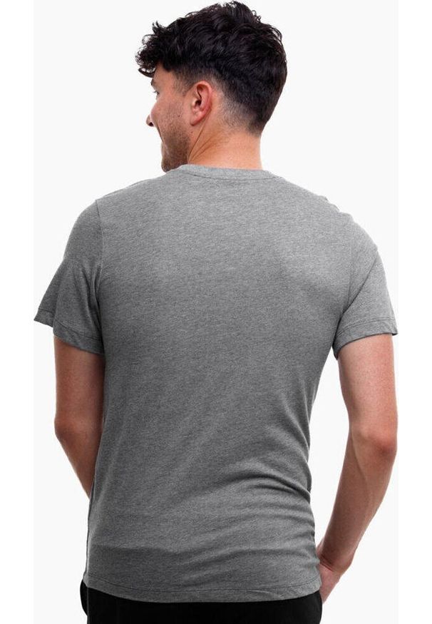 Koszulka treningowa męska Nike Dri-FIT Park 20 Tee. Kolor: szary. Technologia: Dri-Fit (Nike)