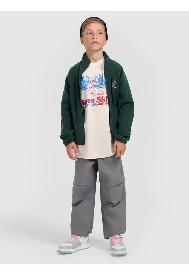 4f - 4F Polar regular ze stójką chłopięcy - zielony 146 (10-11 lat). Typ kołnierza: kołnierzyk stójkowy. Kolor: zielony. Materiał: polar. Sezon: lato