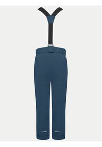Dare2B Spodnie narciarskie Motive DKW406 Granatowy Regular Fit. Kolor: niebieski. Materiał: syntetyk. Sport: narciarstwo #9