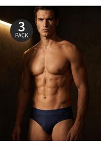 Sinsay - Bawełniane slipy 3 pack - granatowy. Kolor: niebieski. Materiał: bawełna #1